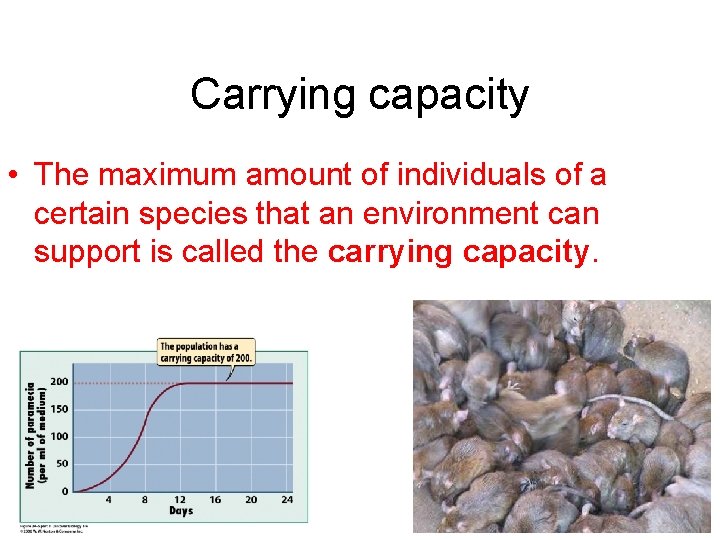 Carrying capacity • The maximum amount of individuals of a certain species that an