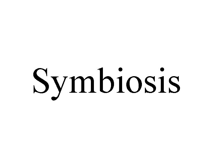 Symbiosis 