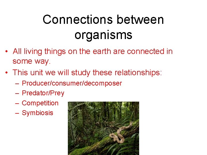 Connections between organisms • All living things on the earth are connected in some