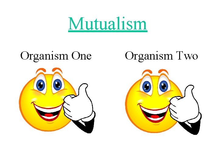 Mutualism Organism One Organism Two 