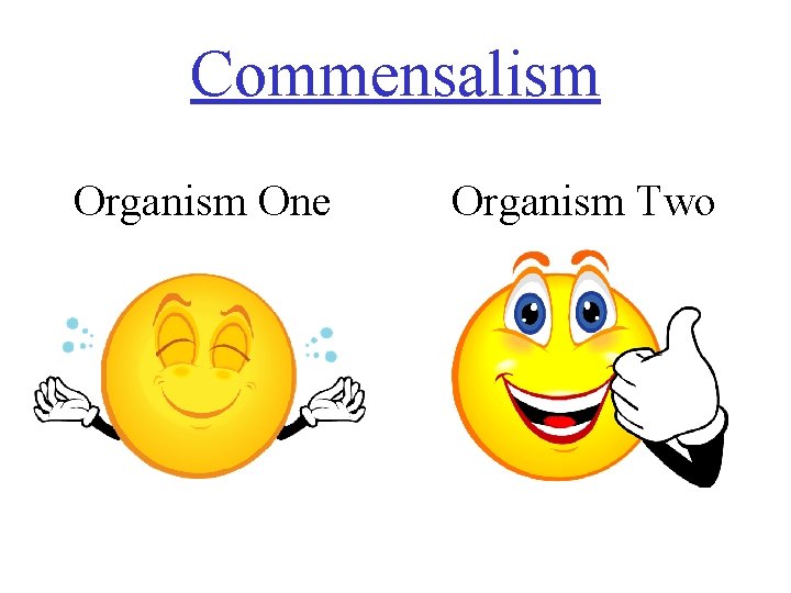 Commensalism Organism One Organism Two 
