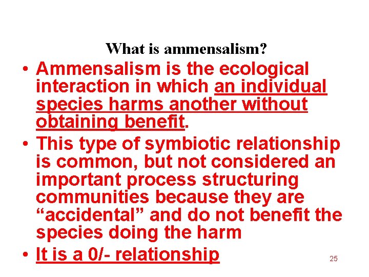 What is ammensalism? • Ammensalism is the ecological interaction in which an individual species