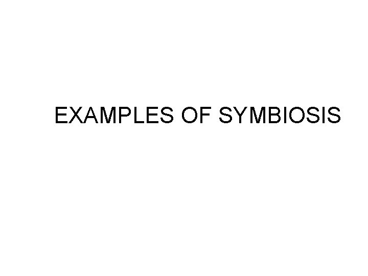 EXAMPLES OF SYMBIOSIS 