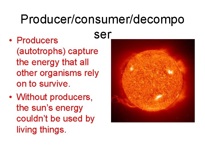  • Producer/consumer/decompo ser Producers (autotrophs) capture the energy that all other organisms rely