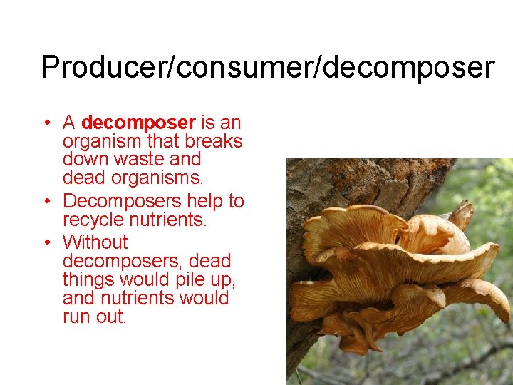 Producer/consumer/decomposer • A decomposer is an organism that breaks down waste and dead organisms.