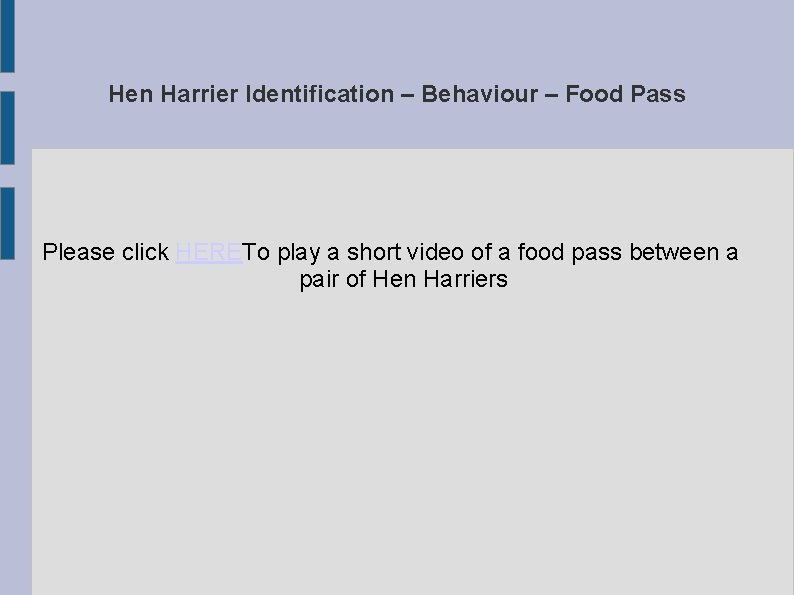 Hen Harrier Identification – Behaviour – Food Pass Please click HERETo play a short