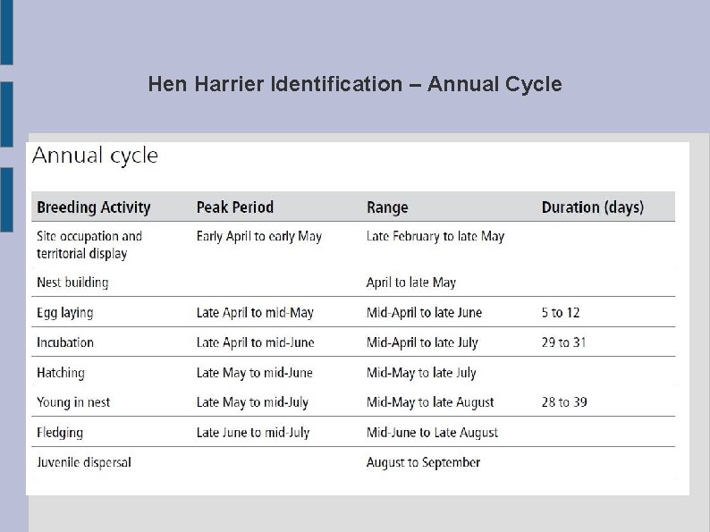 Hen Harrier Identification – Annual Cycle 