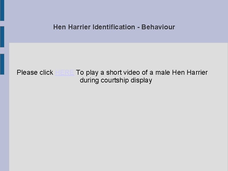 Hen Harrier Identification - Behaviour Please click HERE To play a short video of