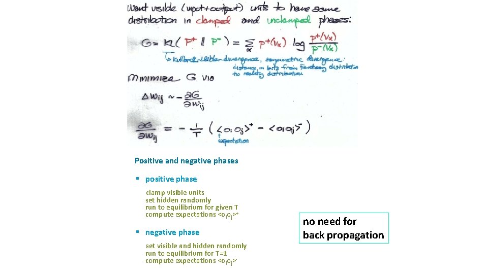 ü Positive and negative phases § positive phase clamp visible units set hidden randomly