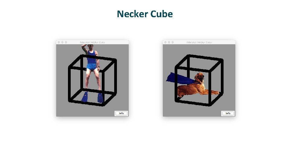 Necker Cube 