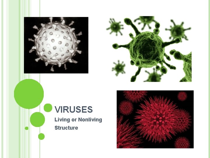 VIRUSES Living or Nonliving Structure 