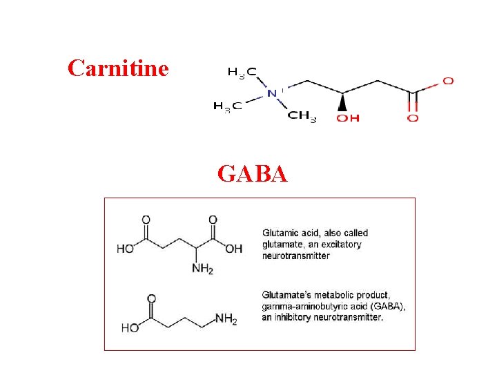 Carnitine GABA 