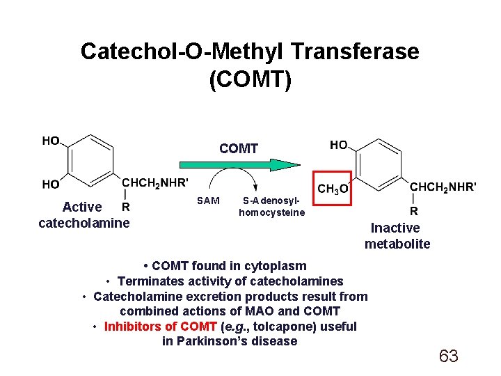 Catechol-O-Methyl Transferase (COMT) COMT Active catecholamine SAM S-Adenosylhomocysteine Inactive metabolite • COMT found in