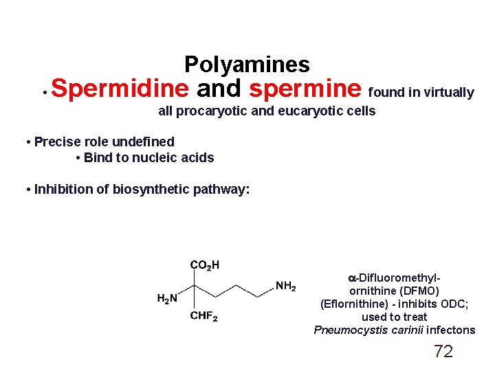 Polyamines • Spermidine and spermine found in virtually all procaryotic and eucaryotic cells •