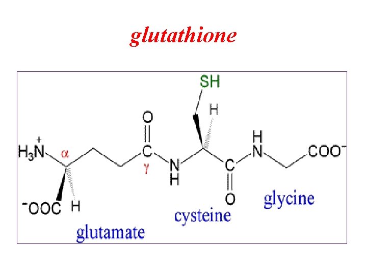glutathione 