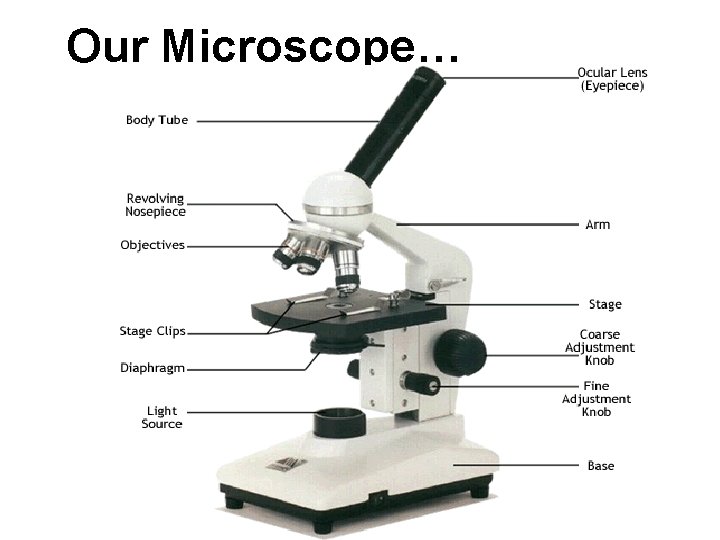 Our Microscope… 