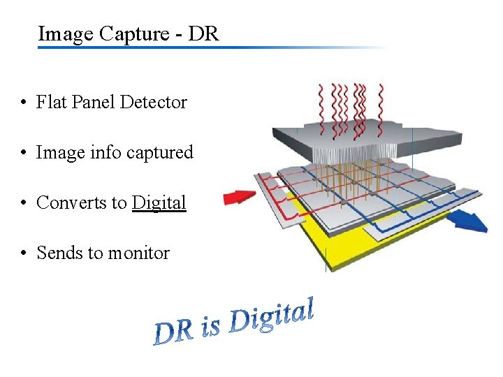 Image Capture - DR • Flat Panel Detector • Image info captured • Converts