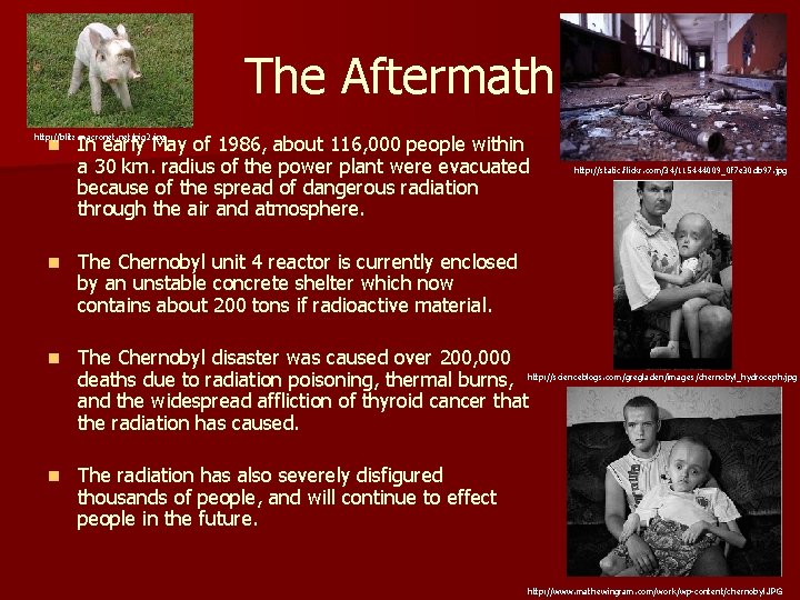 The Aftermath http: //blitz. macronet. net/pig 2. jpg n In early May of 1986,