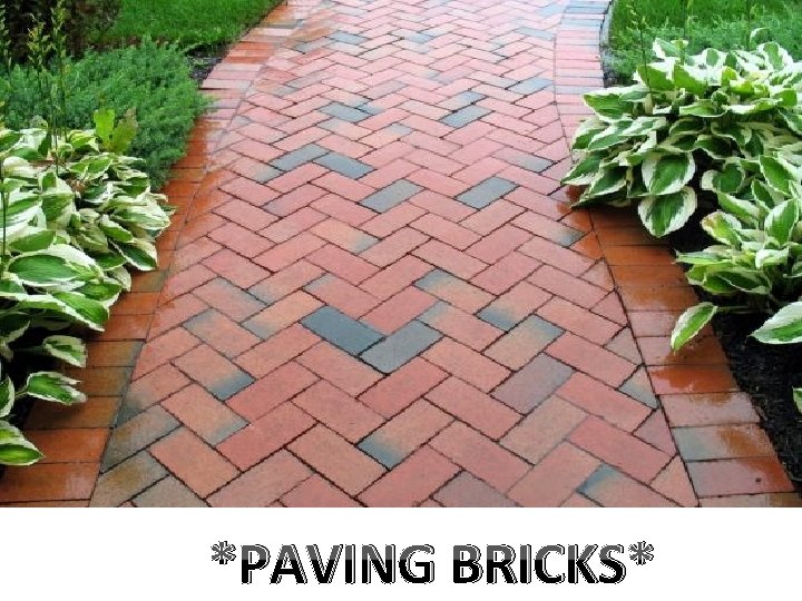 *PAVING BRICKS* 