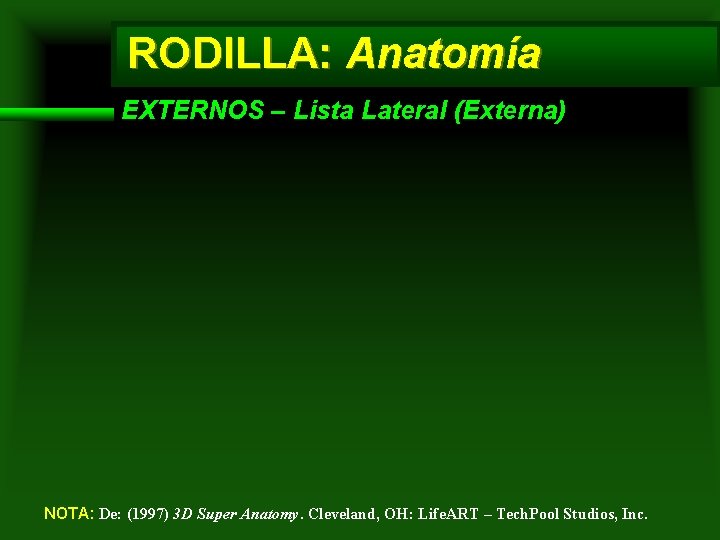 RODILLA: Anatomía EXTERNOS – Lista Lateral (Externa) NOTA: De: (1997) 3 D Super Anatomy.