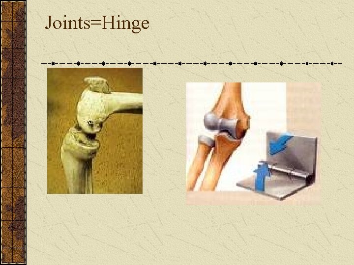 Joints=Hinge 