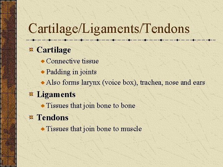 Cartilage/Ligaments/Tendons Cartilage Connective tissue Padding in joints Also forms larynx (voice box), trachea, nose