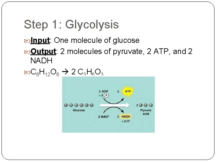 Step 1: Glycolysis Input: One molecule of glucose Output: 2 molecules of pyruvate, 2