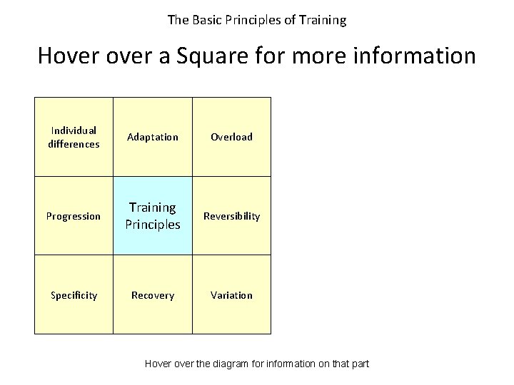The Basic Principles of Training Hover a Square for more information Individual differences Adaptation The Basic Principles of Training Hover a Square for more information Individual differences Adaptation
