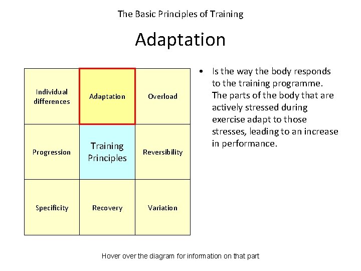 The Basic Principles of Training Adaptation Individual differences Adaptation Overload Progression Training Principles Reversibility
