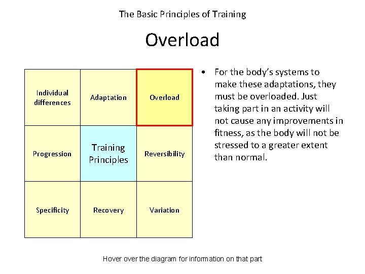 The Basic Principles of Training Overload Individual differences Adaptation Overload Progression Training Principles Reversibility