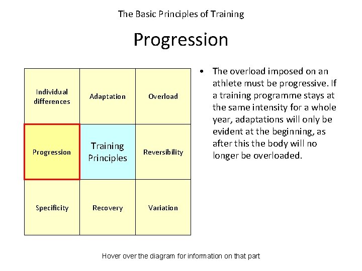 The Basic Principles of Training Progression Individual differences Adaptation Overload Progression Training Principles Reversibility