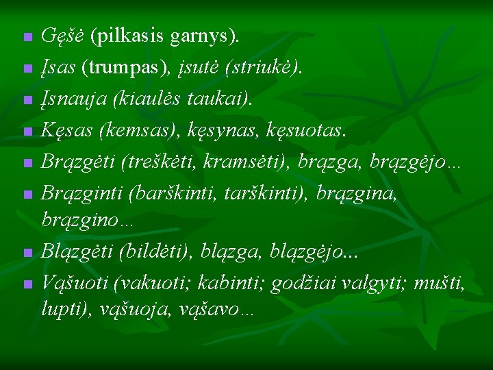 n n n n Gęšė (pilkasis garnys). Įsas (trumpas), įsutė (striukė). Įsnauja (kiaulės taukai).