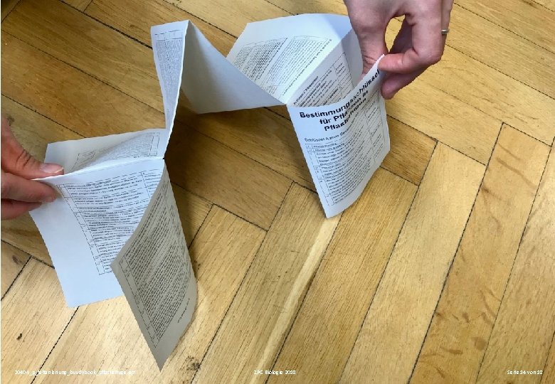 20404_p_faltanleitung_buudybook_pflasterfuge. ppt ZPG Biologie 2018 Seite 14 von 18 