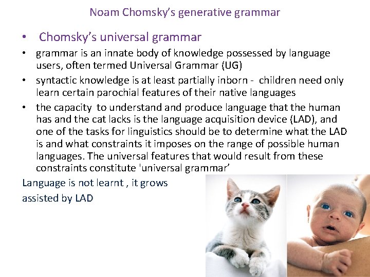 Noam Chomsky’s generative grammar • Chomsky’s universal grammar • grammar is an innate body