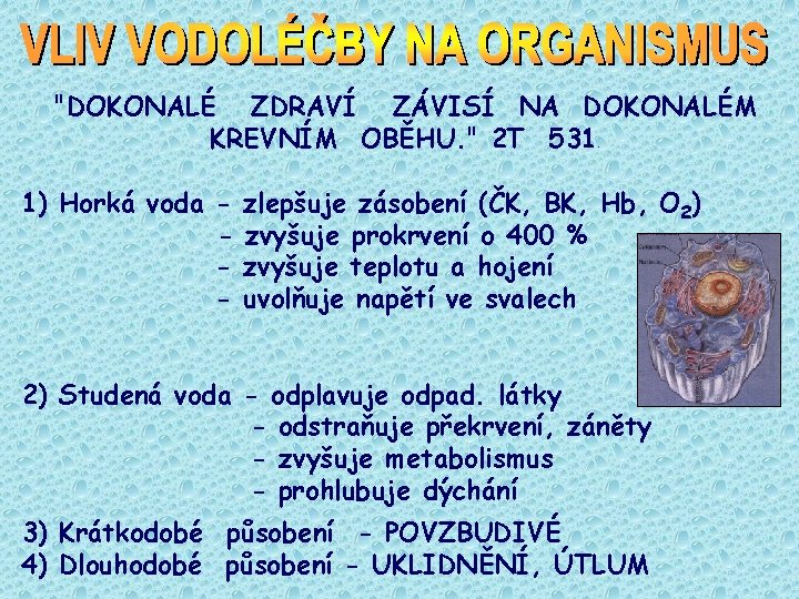 "DOKONALÉ ZDRAVÍ ZÁVISÍ NA DOKONALÉM KREVNÍM OBĚHU. " 2 T 531. 1) Horká voda