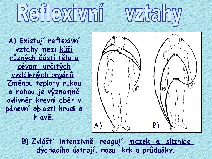 A) Existují reflexivní vztahy mezi kůží různých částí těla a cévami určitých vzdálených orgánů.