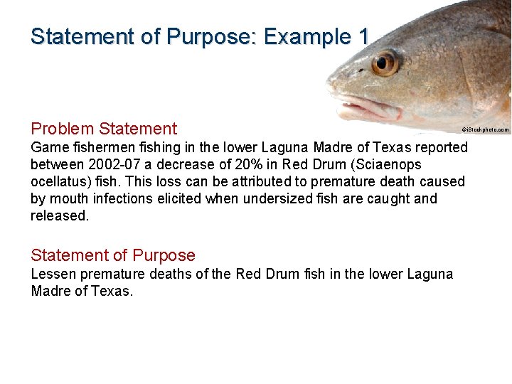Statement of Purpose: Example 1 Problem Statement ©i. Stockphoto. com Game fishermen fishing in