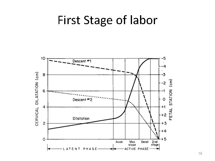 First Stage of labor 18 