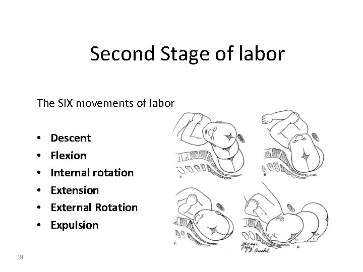 Second Stage of labor The SIX movements of labor • • • 39 Descent
