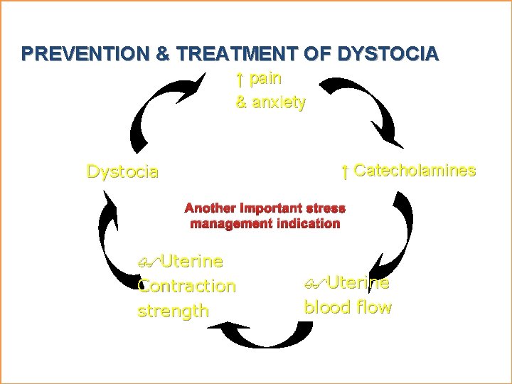 PREVENTION & TREATMENT OF DYSTOCIA ↑ pain & anxiety Dystocia ↑ Catecholamines Another important