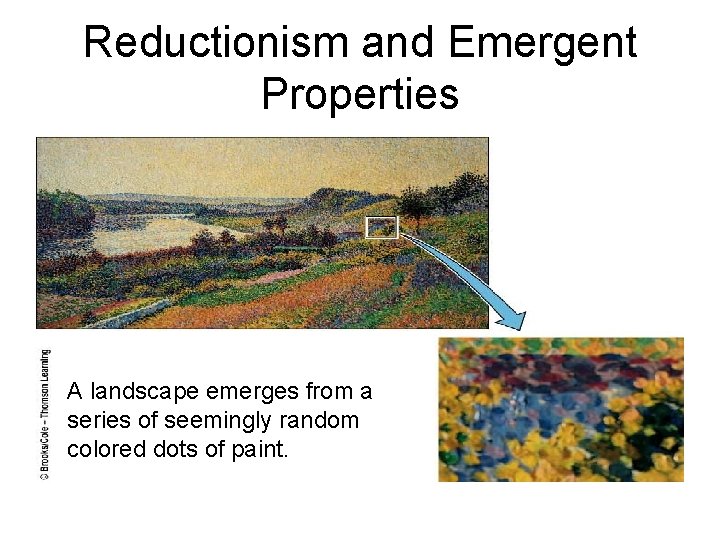 Reductionism and Emergent Properties A landscape emerges from a series of seemingly random colored