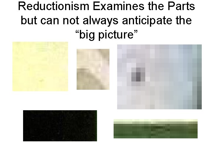 Reductionism Examines the Parts but can not always anticipate the “big picture” 