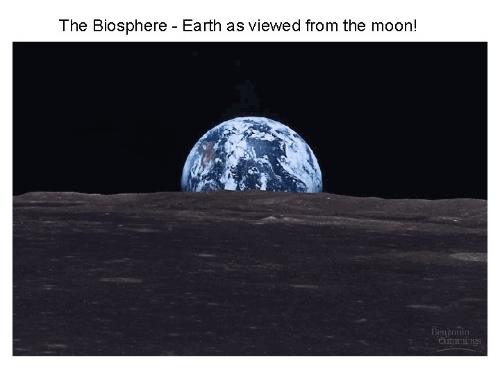 The Biosphere - Earth as viewed from the moon! 