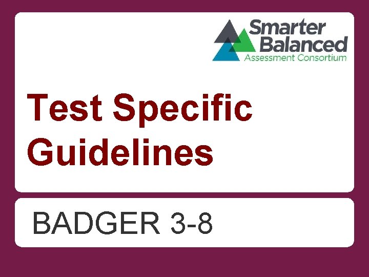 Test Specific Guidelines BADGER 3 -8 