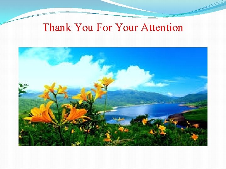 Thank You For Your Attention 