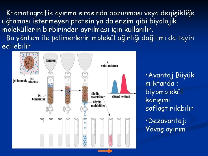 Kromatografik ayırma sırasında bozunması veya degişikliğe uğraması istenmeyen protein ya da enzim gibi biyolojik