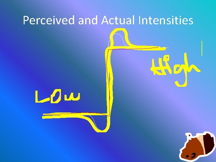 Perceived and Actual Intensities 
