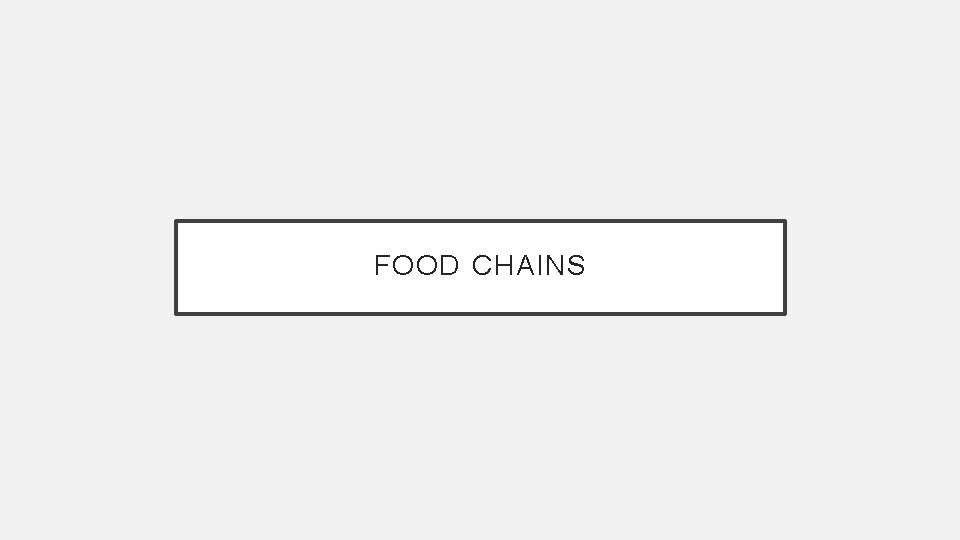 FOOD CHAINS 