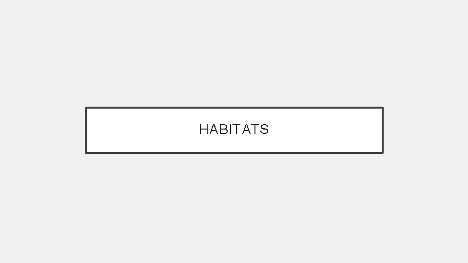 HABITATS 