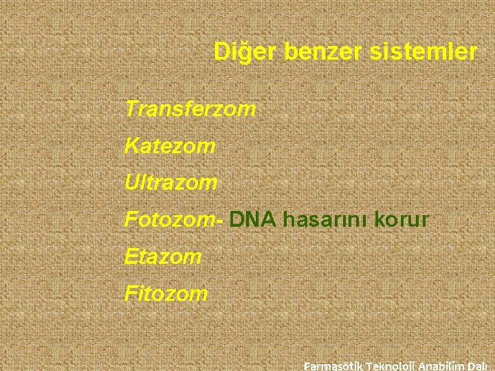 Diğer benzer sistemler Transferzom Katezom Ultrazom Fotozom- DNA hasarını korur Etazom Fitozom Farmasötik Teknoloji